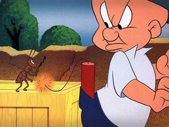 Looney Tunes Taz Cartoon Pictures
