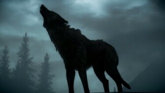 Wolf Howling At The Moon Wallpaper Howls