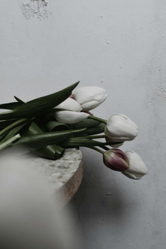 White Tulips Elegance Aesthetic Wallpaper