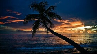 Wallpaper Beach Original Romantic Night