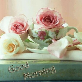 Lovely And Beautiful Good Morning Wallpaper Allfreshwallpaper