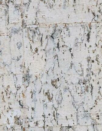 Cw7545 Real Cork Wallpaper Silver Foil Backing Birch By