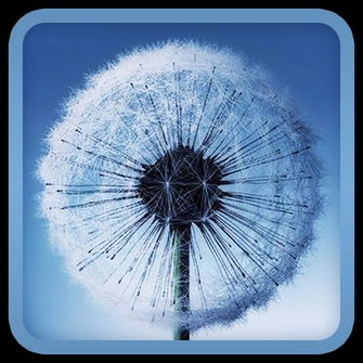 Galaxy S Is A Trademark Of Samsung This App Not Affiliated With Or