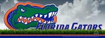 Gators Desktop Wallpaper High Definition