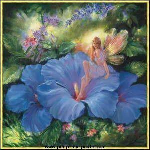 Best Image About All Fairies And Witches