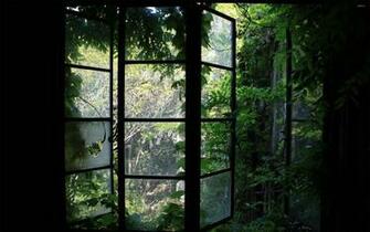 Greenhouse Window Wallpaper Photography