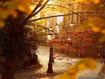 Beautiful London Autumn S Joane12