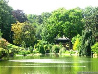 Green Garden Wallpaper