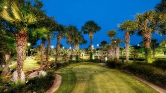 Mini Golf Course Among The Palms HD Wallpaper