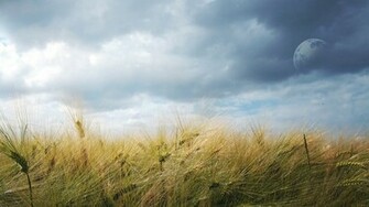 Dreamy Fields Wallpaper HD