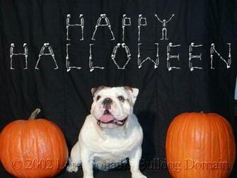 Happy Halloween Everyone
