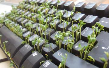 Keyboard HD Wallpaper Background Image