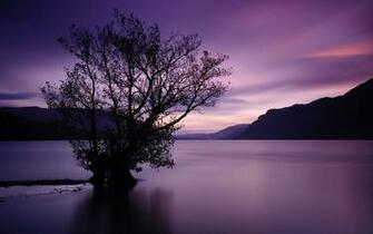 Tree Water Surface Mountains Sunset Wallpaper