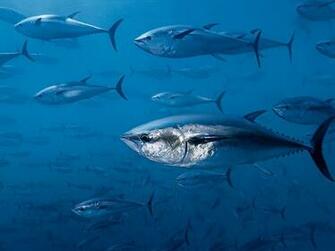 National Geographic Daily Photo February