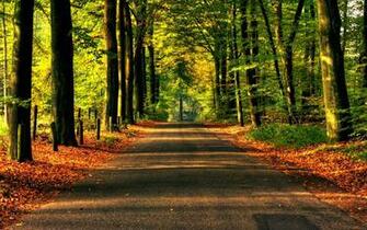 Autumn Road Wallpaper For Desktop Background HD
