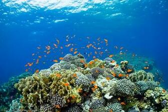 Red Sea Parting Wallpaper Imgkid The Image Kid