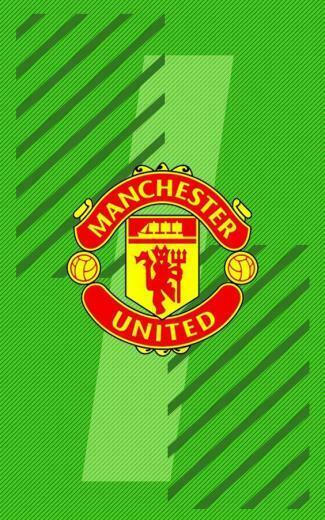 Manchester United Green Goal Keeper Android Wallpaper