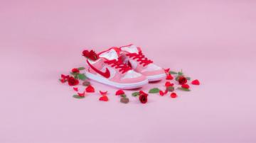 Nike Sb Dunk Low X Strangelove Skateboards