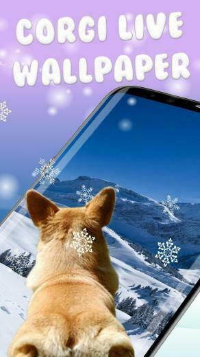 3d Rump Shaking Corgi Dog Theme Live Wallpaper For Android Apk