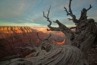 Grand Canyon National Geographic Photo Contest