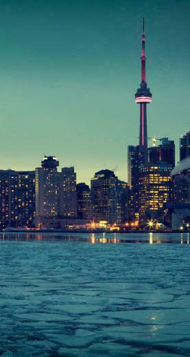 Toronto Skyline The iPhone Wallpaper