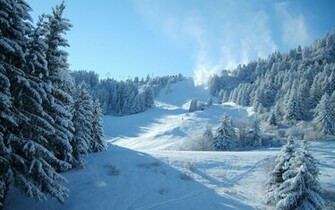Winter Forest Hill Wallpaper Stock Photos
