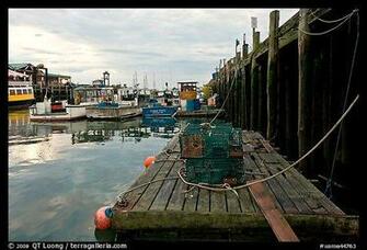 Maine Lobster Fishing Boats Bangor Usa Dachshund Puppies For