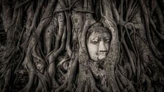 Buddha Head In Tree Roots Wat Mahathat Ayutthaya Thailand UHD 4k