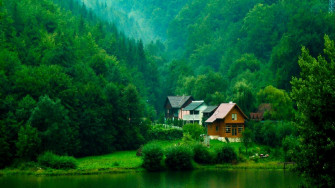 Green Nature Wallpaper