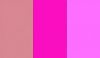 Blush Shocking Pink And Crayola Three Color Background