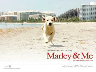 Marley Me And Wallpaper