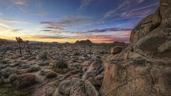 Joshua Tree National Park Wallpaper Nature