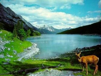 Reality Wallpaper Beautiful Nature For Desktop