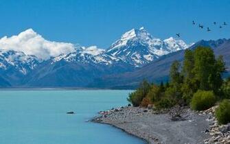 New Zealand Wallpaper Background