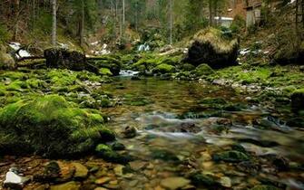 River Rocks Wood Moss Nature Wallpaper Background