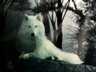 Best Direwolf Wallpaper