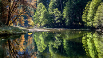 Nature Wallpaper On