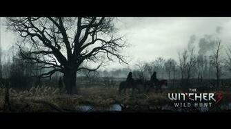 The Witcher