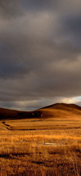 Inner Mongolia Bashang Grassland Mobile Phone Wallpaper Image On Lovepik
