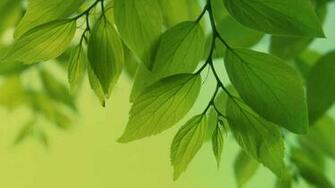 Galaxy S4 Super Beautiful Full HD Official Wallpaper