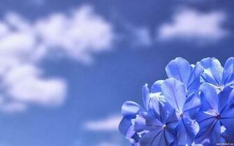 Wallpaper Zone Beautiful Blue Sky