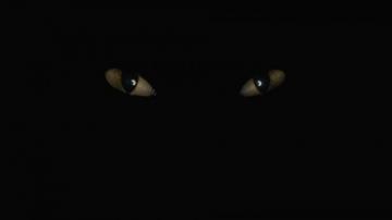 Creepy Eyes Dark Wallpaper