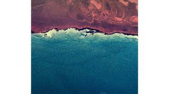 Wallpaper Android Marshmallow