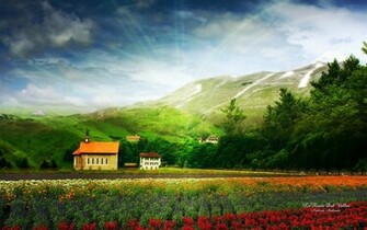 Wallpaper Nature Flower Bikes
