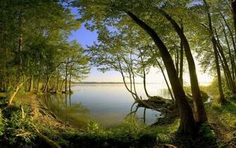 Mooi Landschap Met Bos Aan Rand Van Een Groot Meer