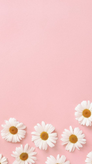 Simple Pink Wallpaper iPhone Aesthetic Background