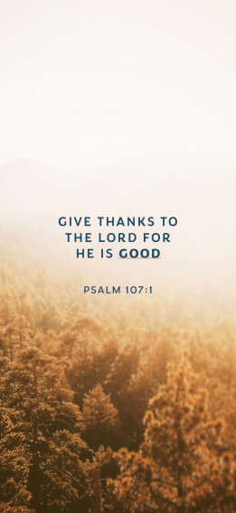 Aesthetic Bible Verse Wallpaper