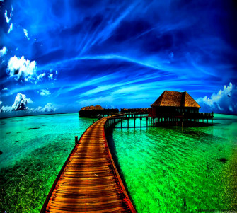 Full Screen Background Beautiful Photo Wallpaper