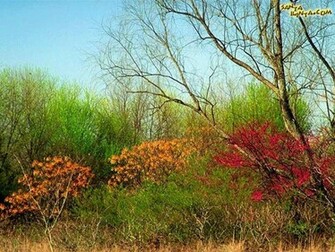 Santabanta Nature Wallpaper HD Lovely