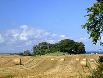 Irish Countryside